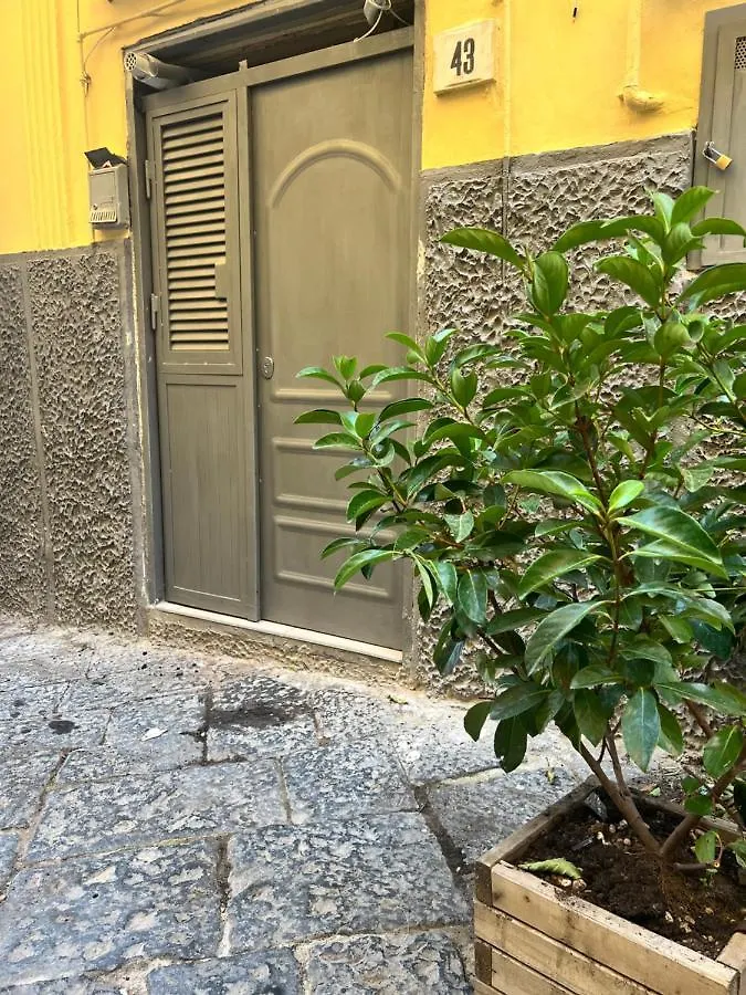Casa Vacanza Rosa Naples Italy